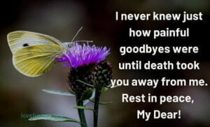 You Gone Too Soon Rest in Peace | rest in peace quotes