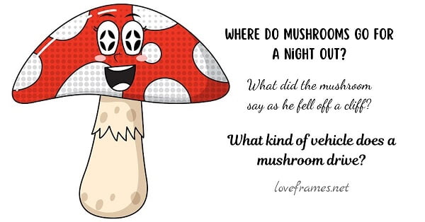 50+ Mushroom Jokes That Are Exclusively Slushy