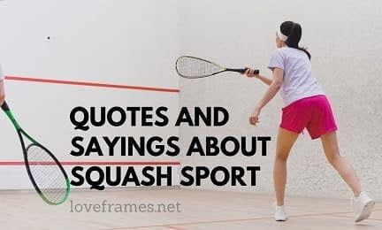 100+ Quotes and Sayings about Squash Sport