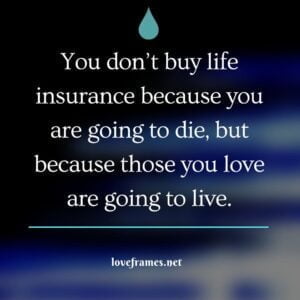 75 Best Insurance Quotes to Plan Your Future Financial Freedom