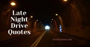 Night Drive Quotes