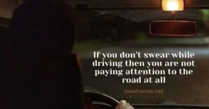 Night Drive Quotes