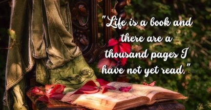 80 Life is Like a Book Quotes and Sayings