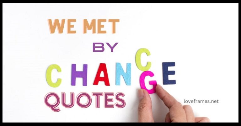 80-best-we-met-by-chance-quotes-and-sayings