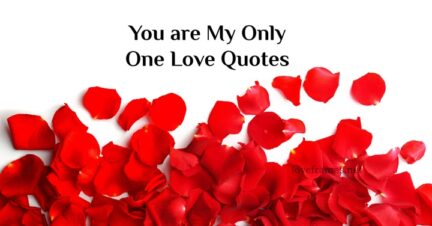 45 You are My Only One Quotes