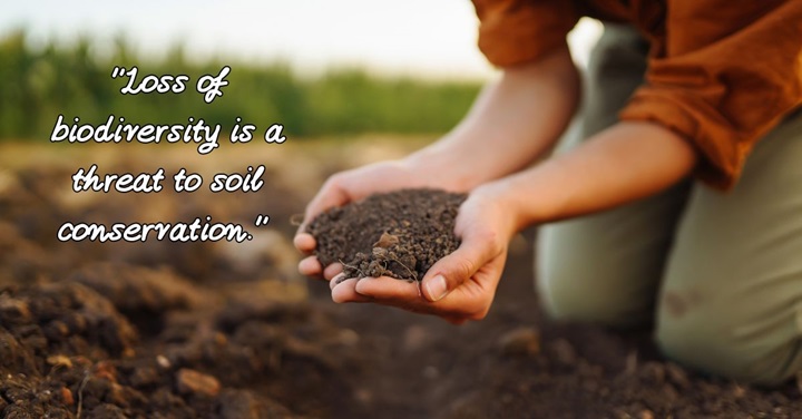 50 Revolutionary Soil Conservation Quotes 2024