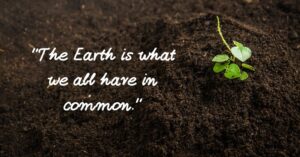 50 Revolutionary Soil Conservation Quotes 2024